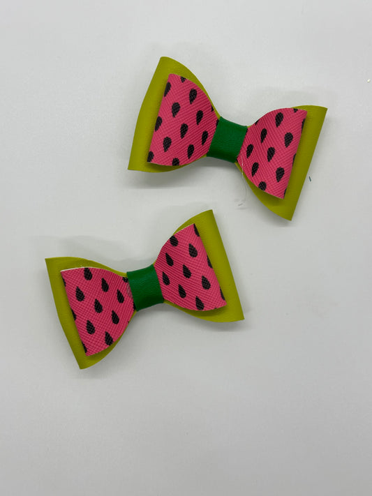 Watermelon Mini Clips